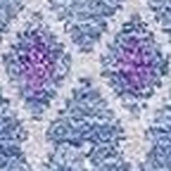 Sky Blue And Ivory Tribal Washable Area Rug With UV Protection Photo 6