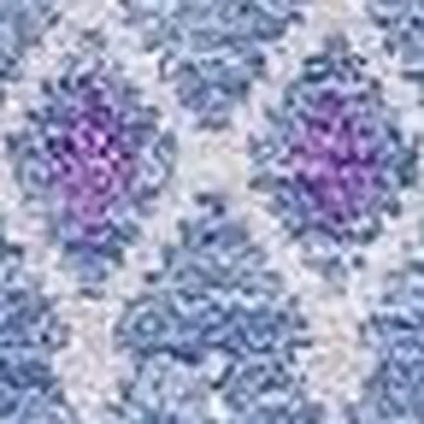 Sky Blue And Ivory Tribal Washable Area Rug With UV Protection Photo 6