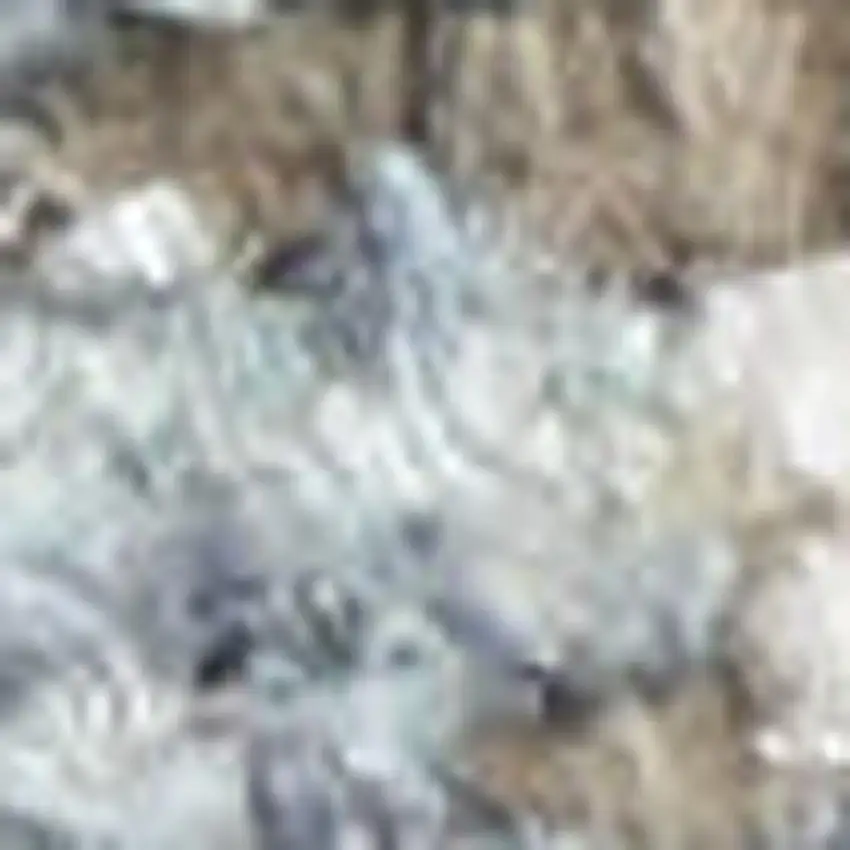 Sky Blue Floral Area Rug Photo 2