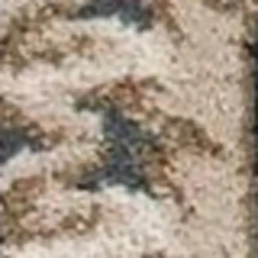 3'X5' Slate Blue Floral Indoor Area Rug Photo 6