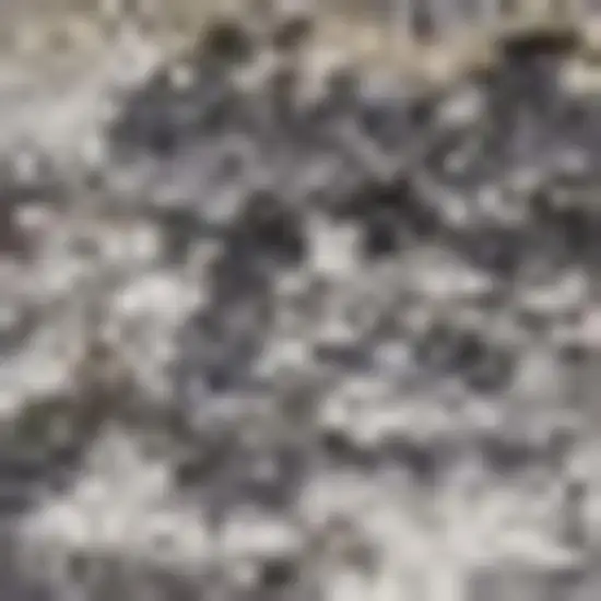 Slate Gray Brown And Ivory Floral Distressed Area Rug With Fringe Photo 2