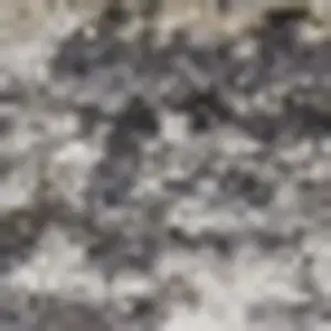 Photo of Slate Gray Brown And Ivory Floral Distressed Area Rug With Fringe