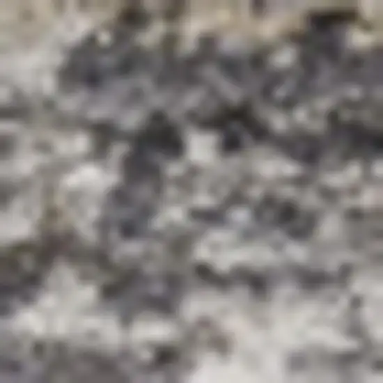 Slate Gray Brown And Ivory Floral Distressed Area Rug With Fringe Photo 2