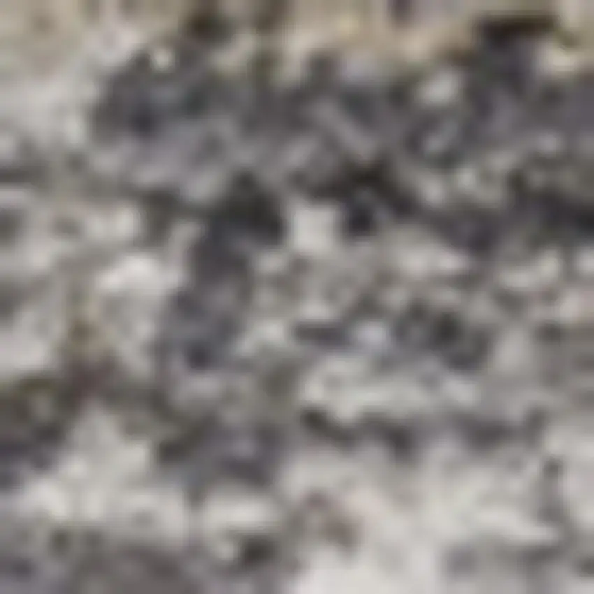 Slate Gray Brown And Ivory Floral Distressed Area Rug With Fringe Photo 2