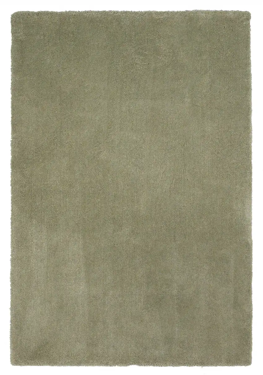 Sage Shag Hand Woven Area Rug Photo 4