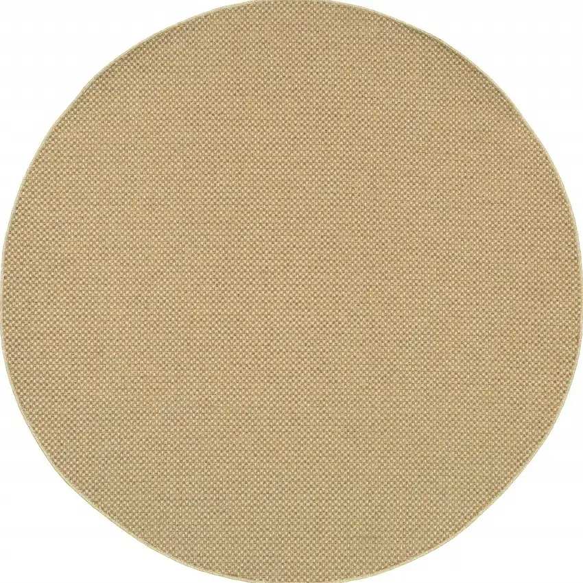 Beige Indoor Outdoor Area Rug Photo 4