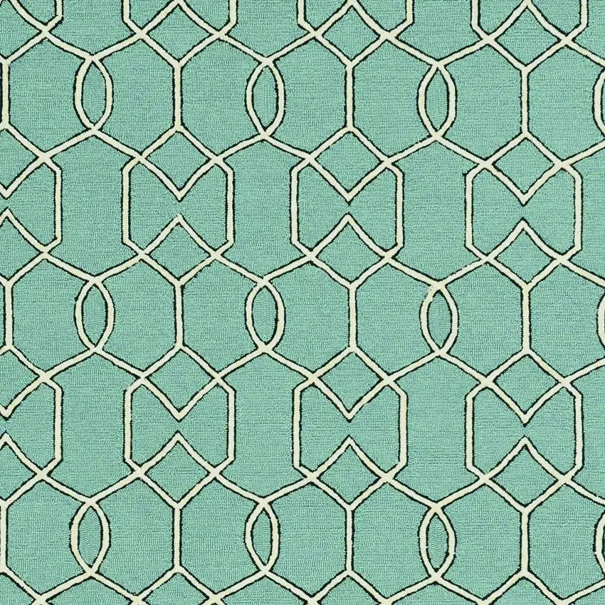 Green Moroccan Indoor Outdoor Area Rug Photo 3