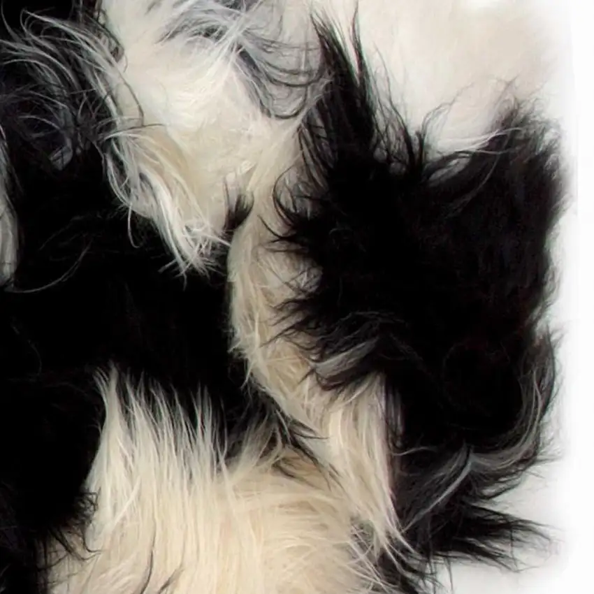 Black and White Spotted Sheepskin Handmade Area Rug Photo 4