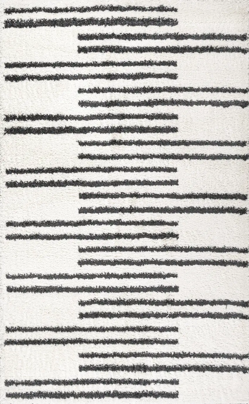Striped Area Rug Photo 4