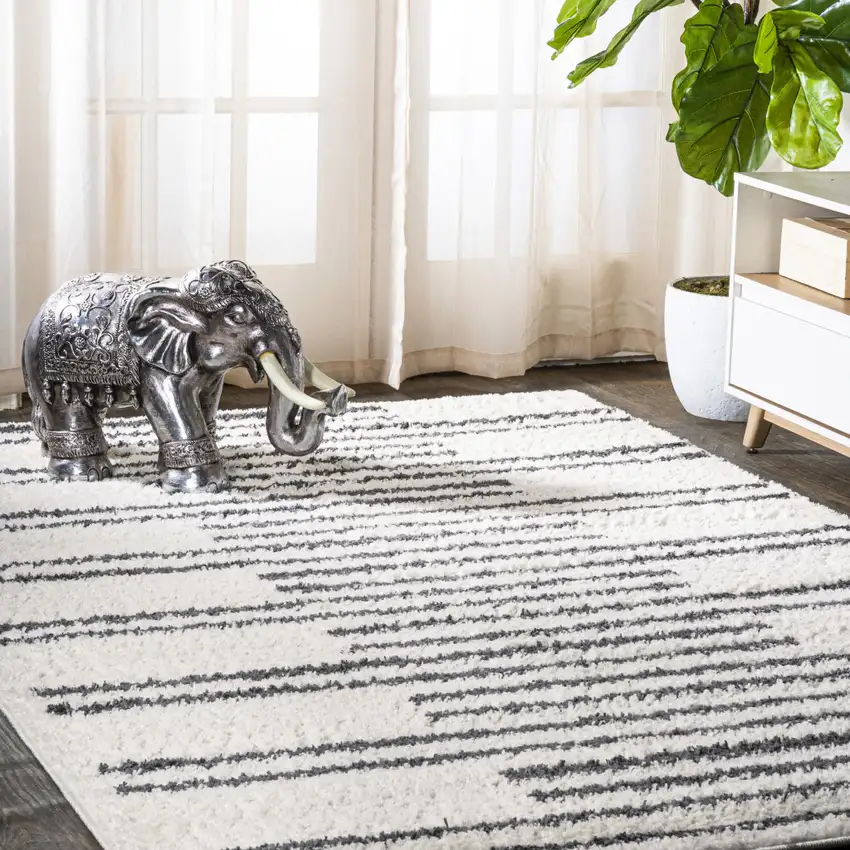 Striped Area Rug Photo 4