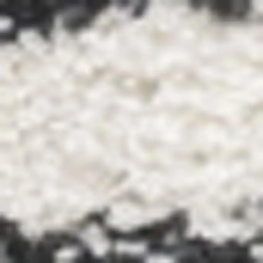 Striped Area Rug Photo 3