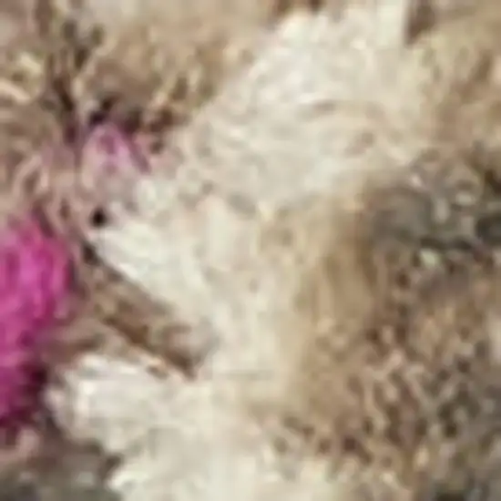 8' Blue Yellow And Orange Abstract Runner Rug Photo 2