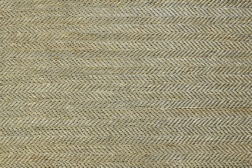 Tan And Gray Hand Woven Area Rug Photo 9