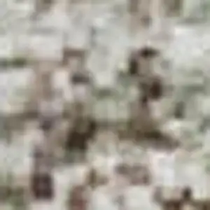 Photo of Tan Beige And Gray Abstract Washable Area Rug With UV Protection