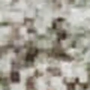 Photo of Tan Beige And Gray Abstract Washable Area Rug With UV Protection