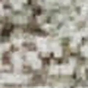 Photo of Tan Beige And Gray Abstract Washable Area Rug With UV Protection