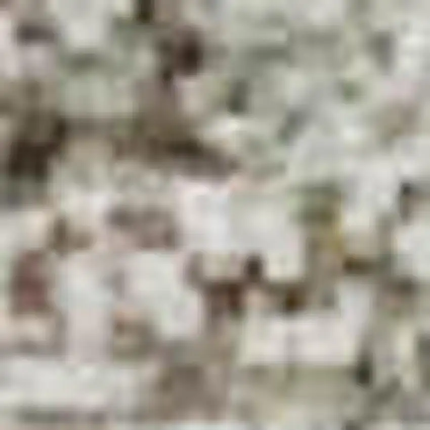 Tan Beige And Gray Abstract Washable Area Rug With UV Protection Photo 1