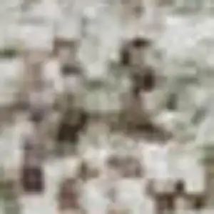 Photo of Tan Beige And Gray Abstract Washable Area Rug With UV Protection