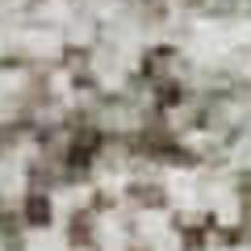 Tan Beige And Gray Abstract Washable Area Rug With UV Protection Photo 1