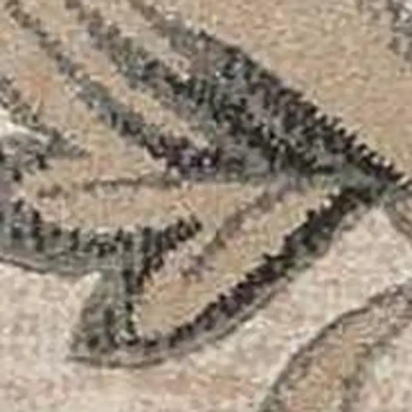 Tan Black and Ivory Damask Area Rug Photo 4