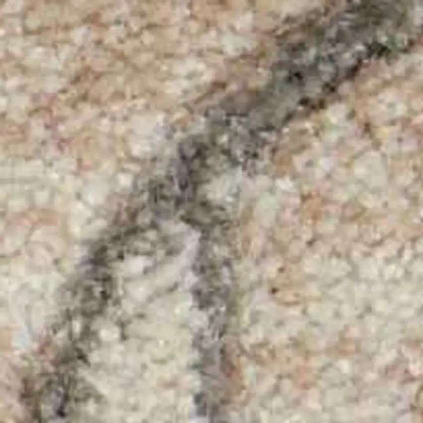 Tan Black and Ivory Damask Non Skid Area Rug Photo 8