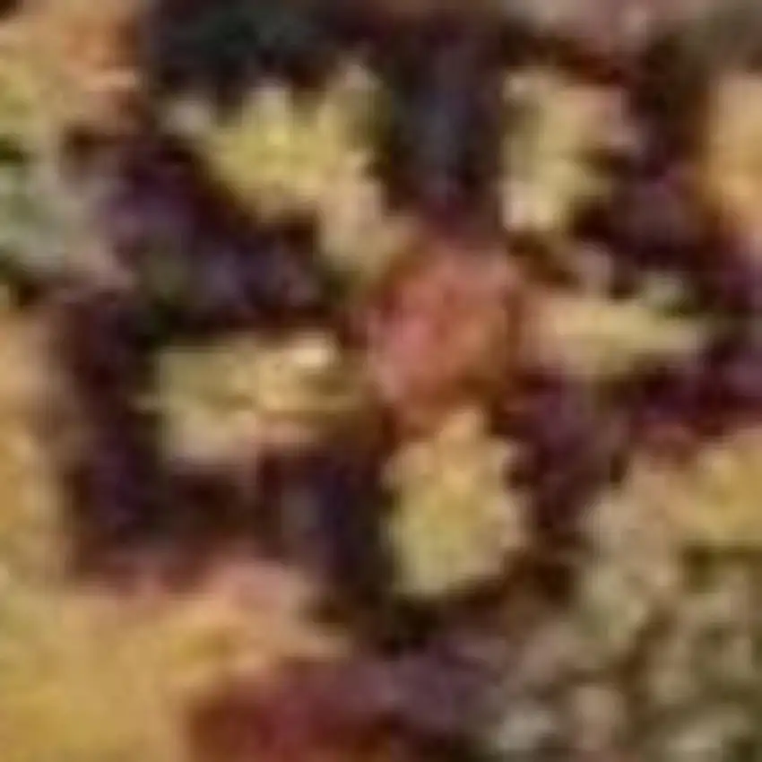 Tan Black and Red Wool Floral Area Rug Photo 5