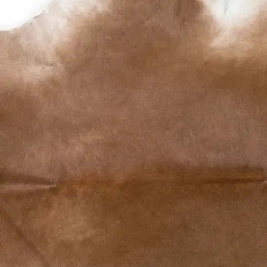 Tan Print Cowhide Area Rug Photo 3