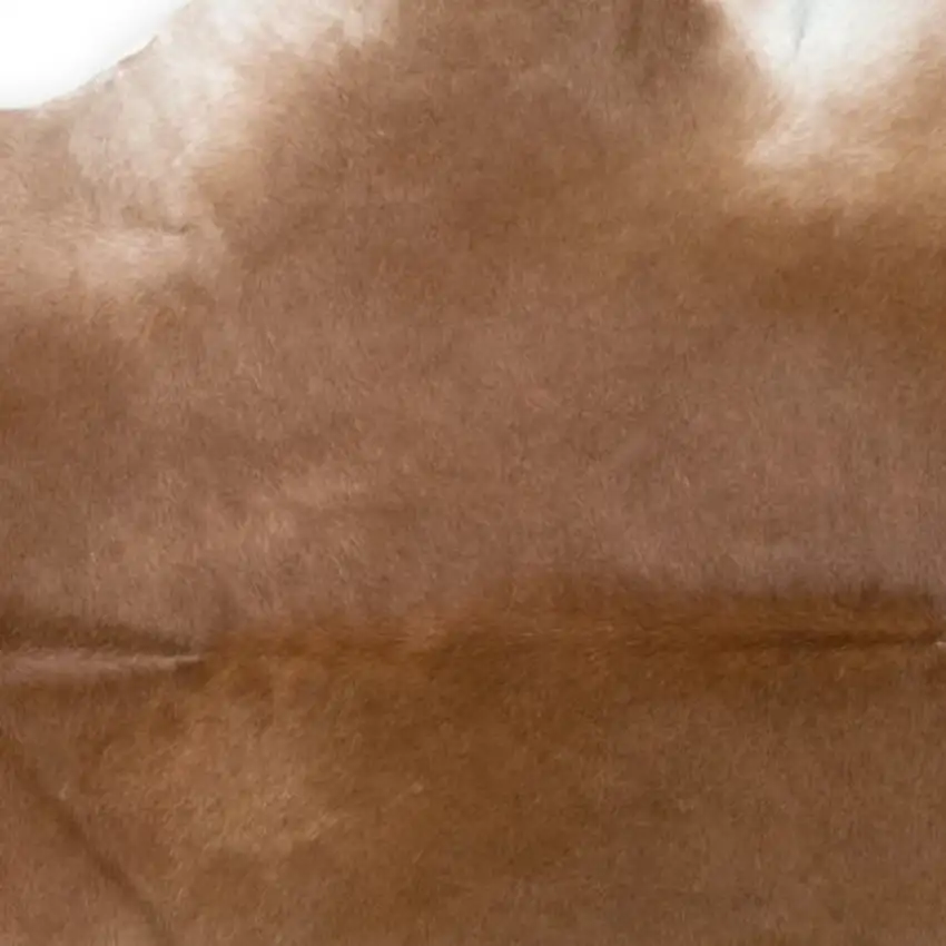Tan Print Cowhide Area Rug Photo 3