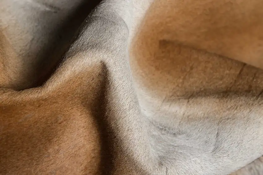 Tan Cowhide  Rug Photo 2