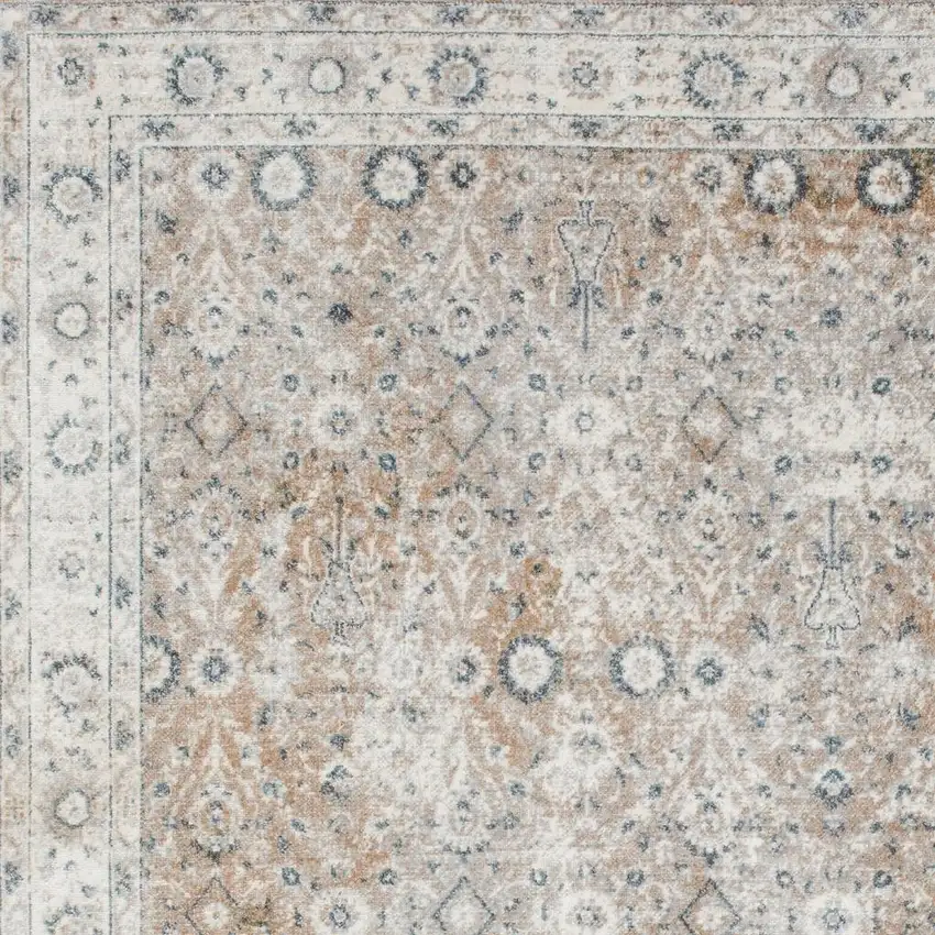 Tan Floral Distressed Area Rug Photo 2