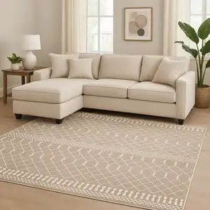 Photo of Tan Geometric Area Rug