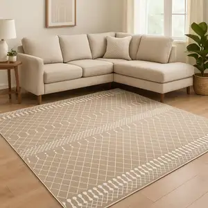 Photo of Tan Geometric Area Rug