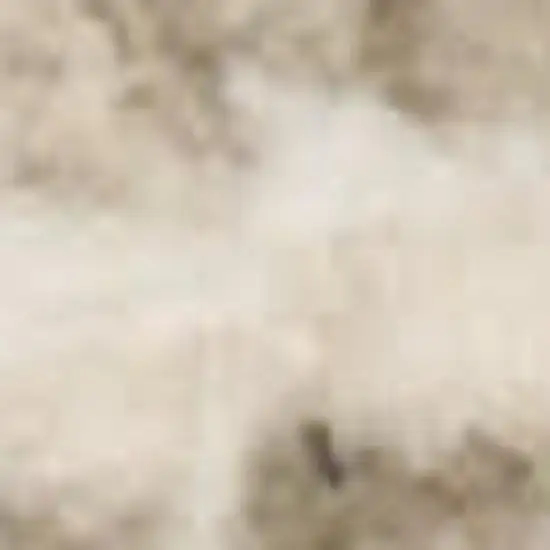 Tan Geometric Area Rug Photo 2