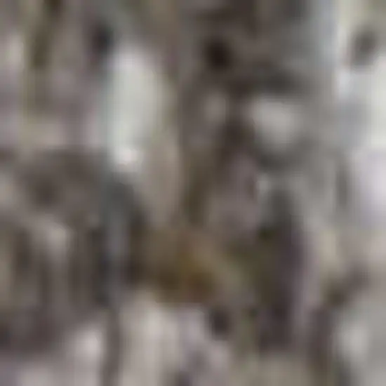 Tan and Gray Geometric Hand Woven Area Rug With Fringe Photo 2