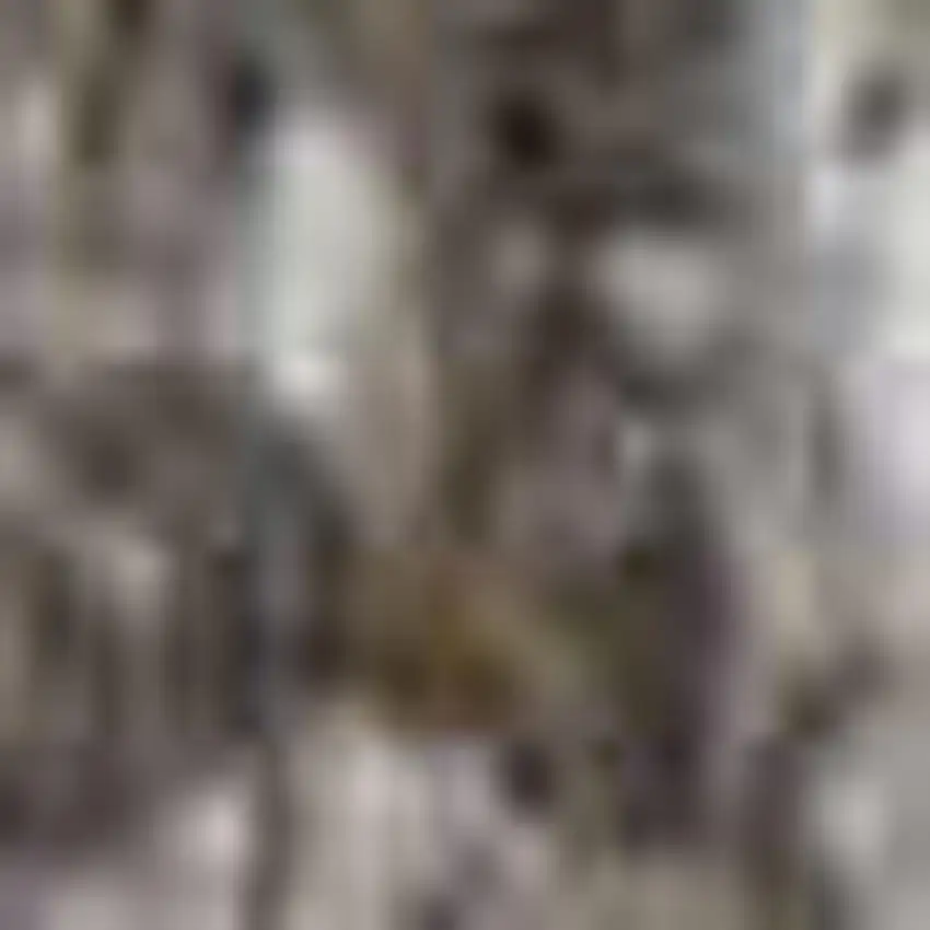 Tan and Gray Geometric Hand Woven Area Rug With Fringe Photo 2