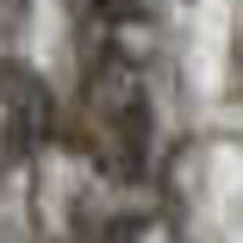 Tan Gray And Ivory Geometric Hand Woven Stain Resistant Area Rug With Fringe Photo 2