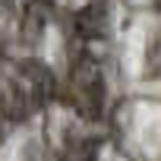 Tan Gray And Ivory Geometric Hand Woven Stain Resistant Area Rug With Fringe Photo 3