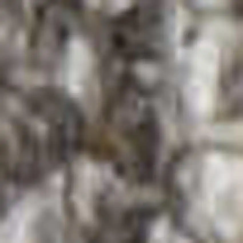 Tan Gray And Ivory Geometric Hand Woven Stain Resistant Area Rug With Fringe Photo 3