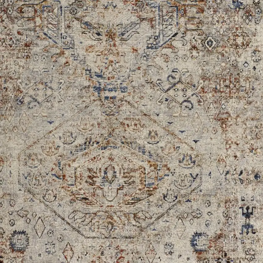 Blue Tan And Red Oriental Distressed Area Rug With Fringe Photo 3