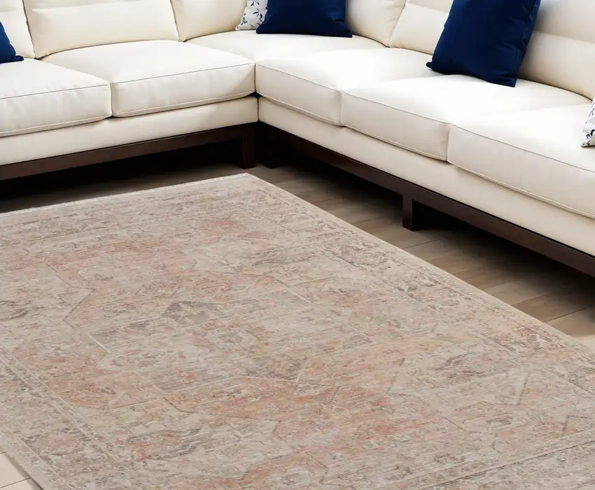 Tan Orange and Ivory Oriental Hand Woven Distressed Area Rug With Fringe Photo 1
