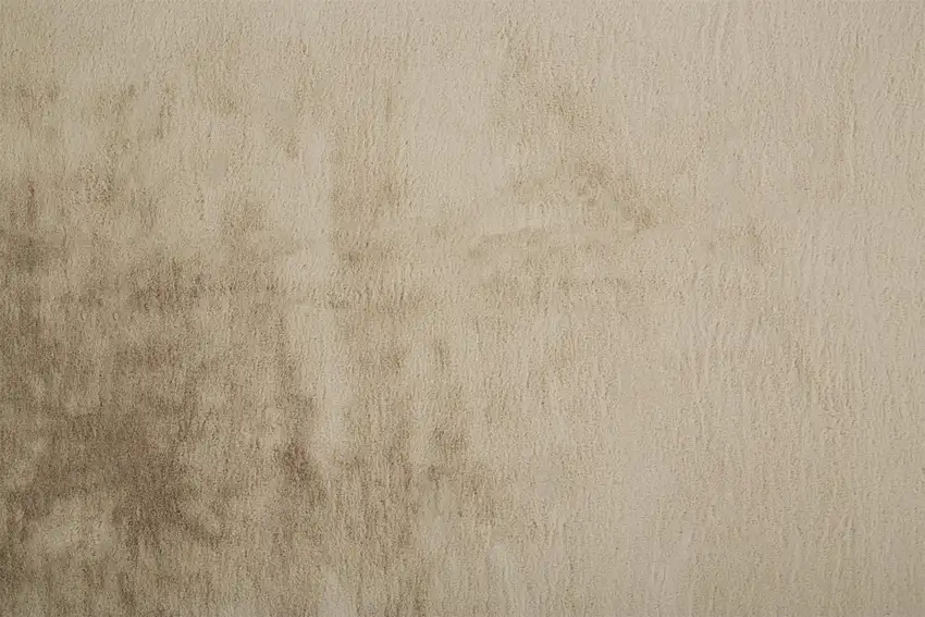 Tan Shag Area Rug Photo 4