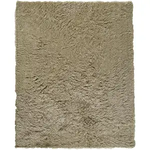 Photo of Tan Shag Hand Tufted Area Rug