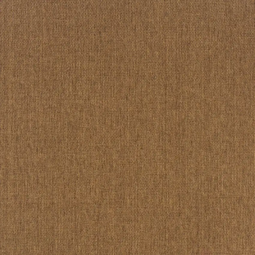 Tan Stain Resistant Indoor Outdoor Area Rug Photo 3