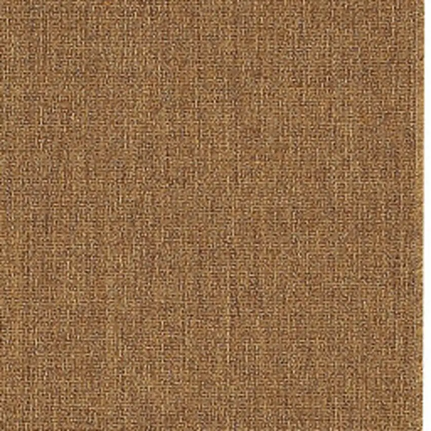 Tan Stain Resistant Indoor Outdoor Area Rug Photo 3