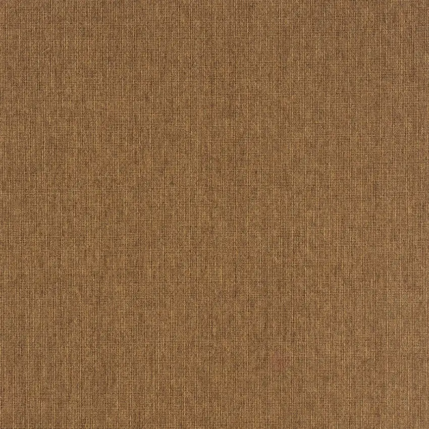 Tan Stain Resistant Indoor Outdoor Area Rug Photo 3