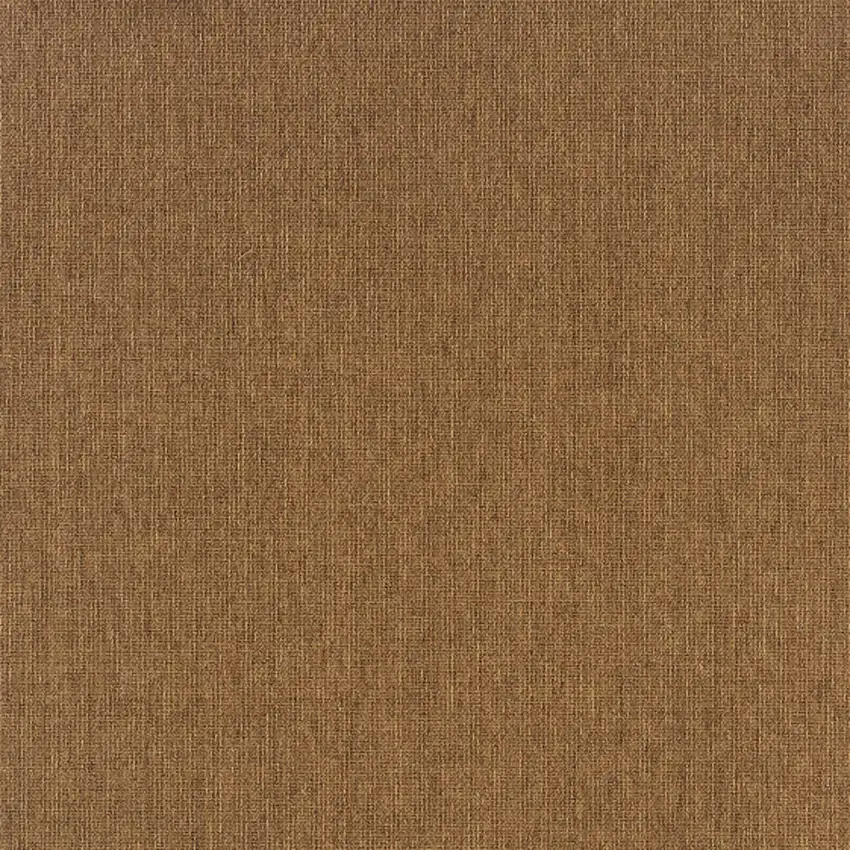Tan Stain Resistant Indoor Outdoor Area Rug Photo 3