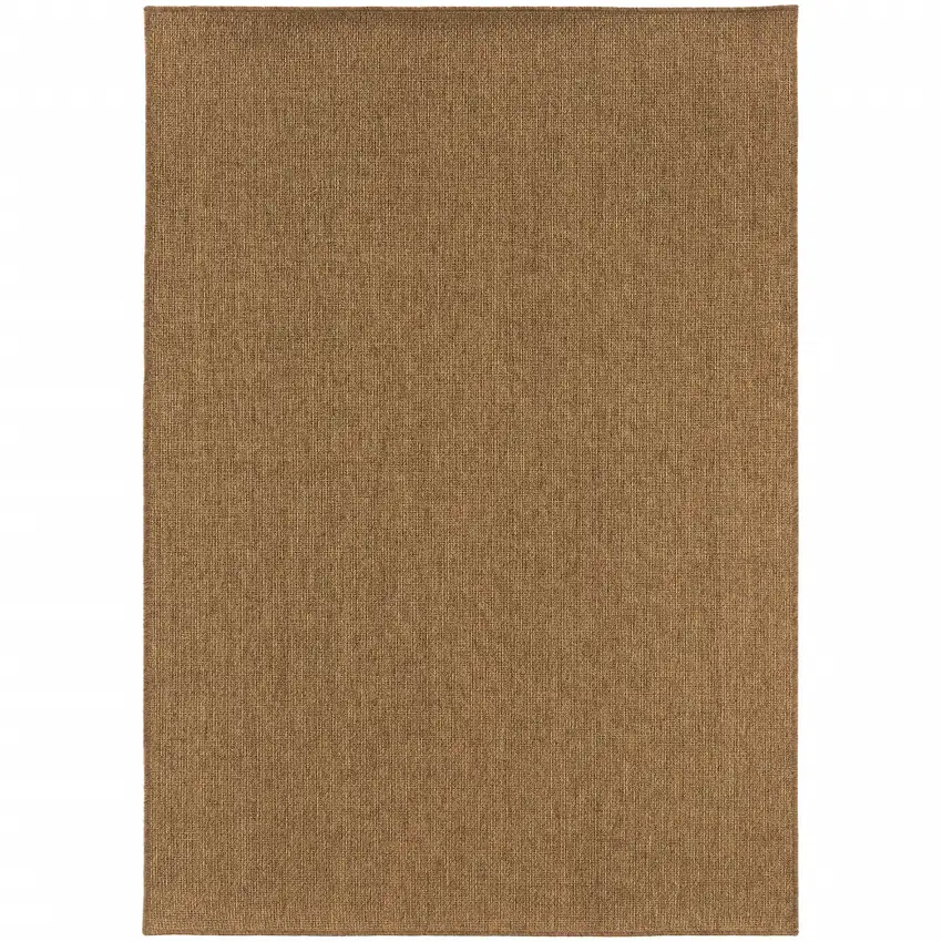 Tan Stain Resistant Indoor Outdoor Area Rug Photo 1