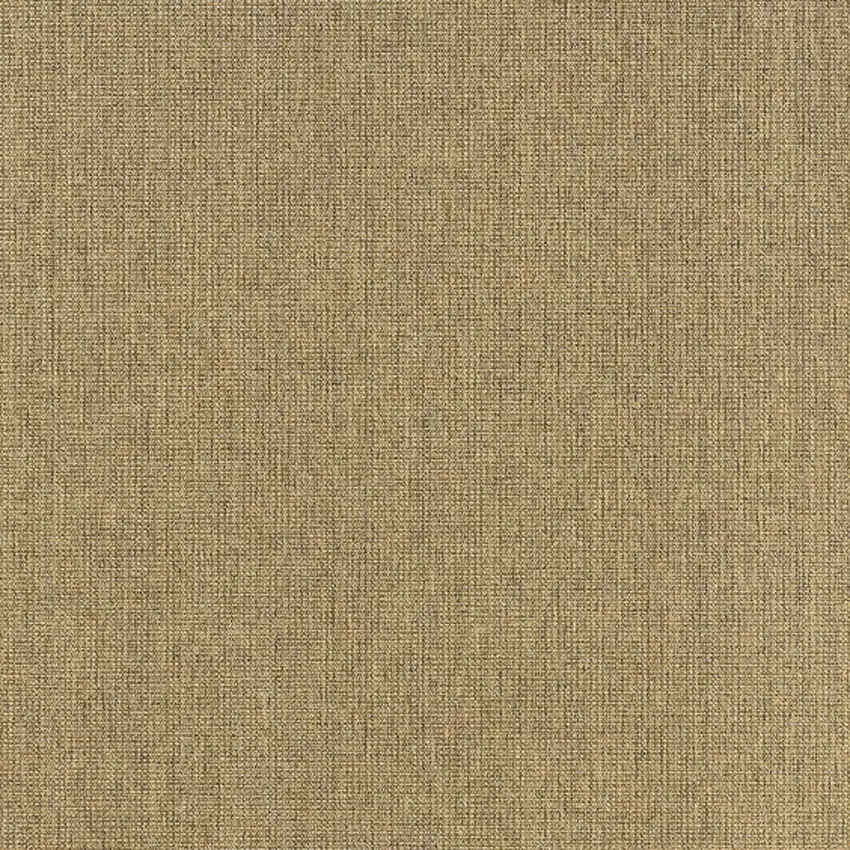 Tan Stain Resistant Indoor Outdoor Area Rug Photo 4