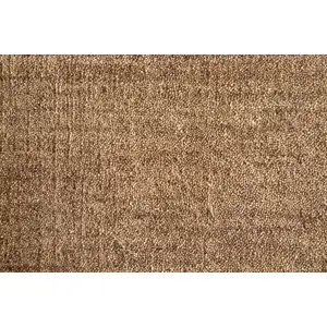 Photo of Tan Wool Hand Woven Area Rug