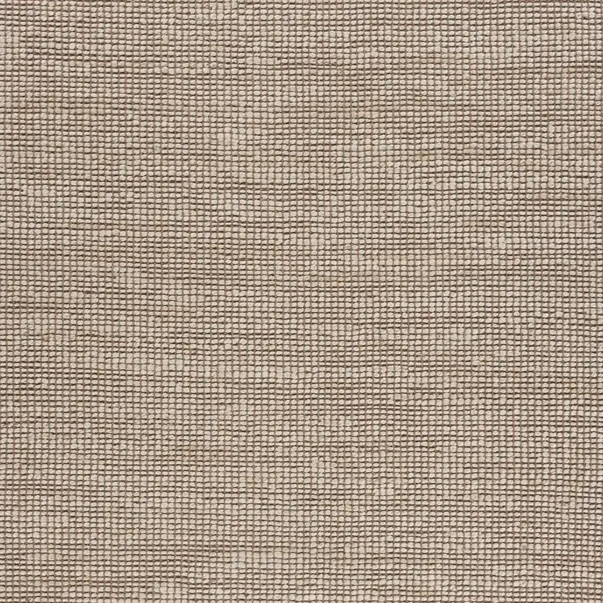 Tan and White Braid Border Area Rug Photo 2